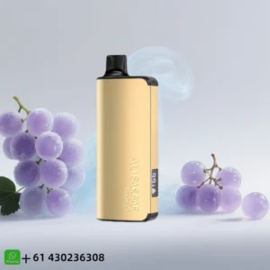 Alibarbar Ingot Grape Ice 20000 Puffs
