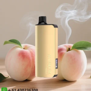 Alibarbar Ingot peach 20000 Puffs